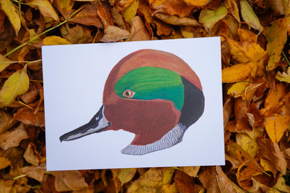 Green Winged Teal Duck Head - Game Bird Greeting Card