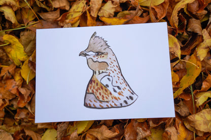 Ruffed Grouse Head - Game Bird Greeting Card