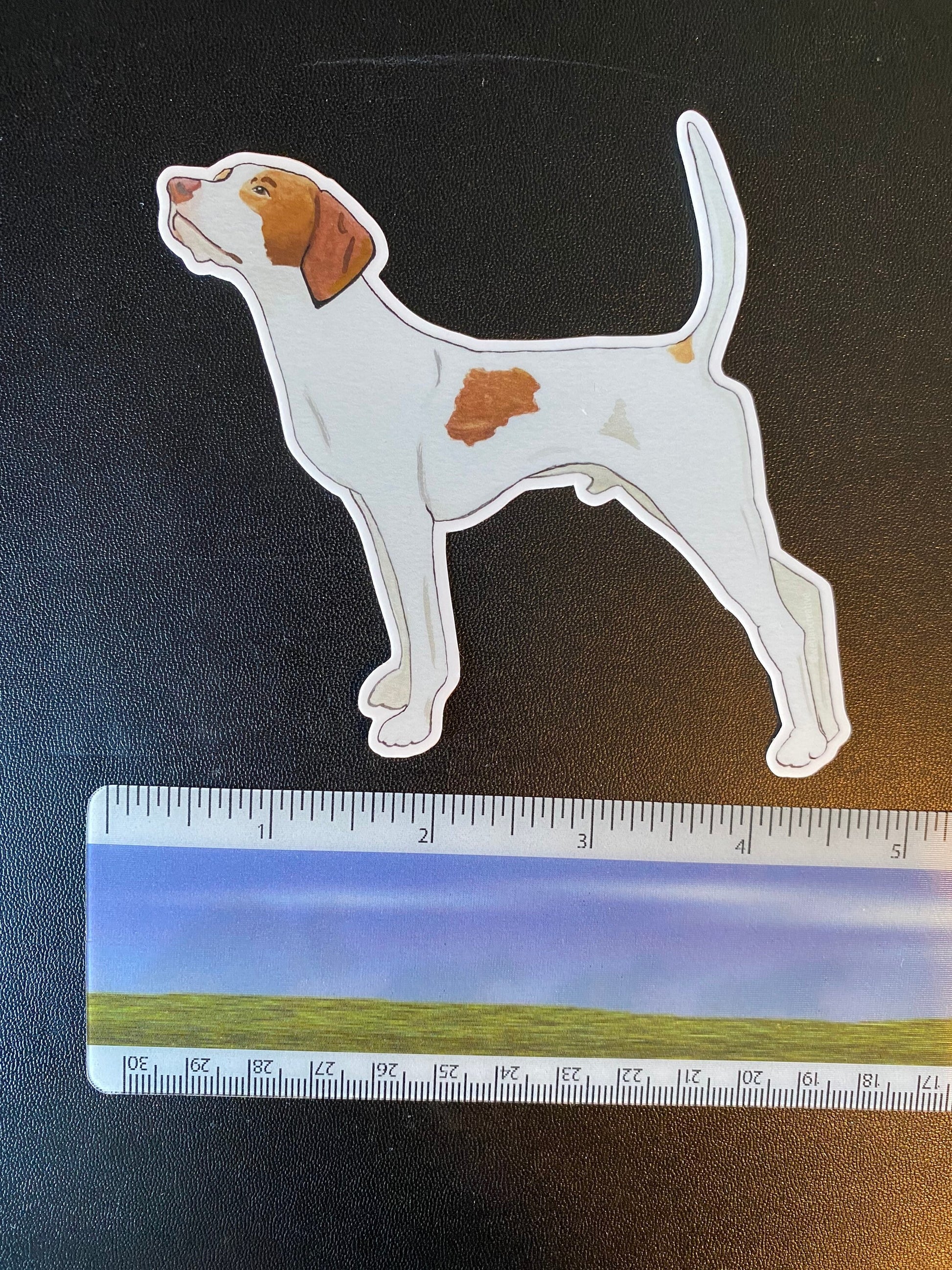 English Pointer Dog Pointing 4" Die Cut Vinyl Sticker Decal: Durable Matte-Finish