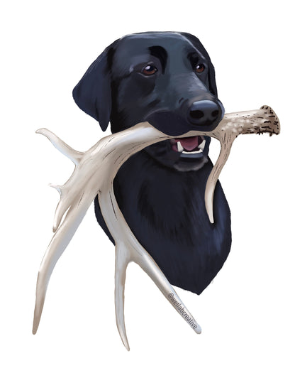Black Labrador Antler Shed Hunting Lab Retrieving 8" Extra Large Die Cut Vinyl Decal Bumper Sticker: Durable Matte-Finish Active Active