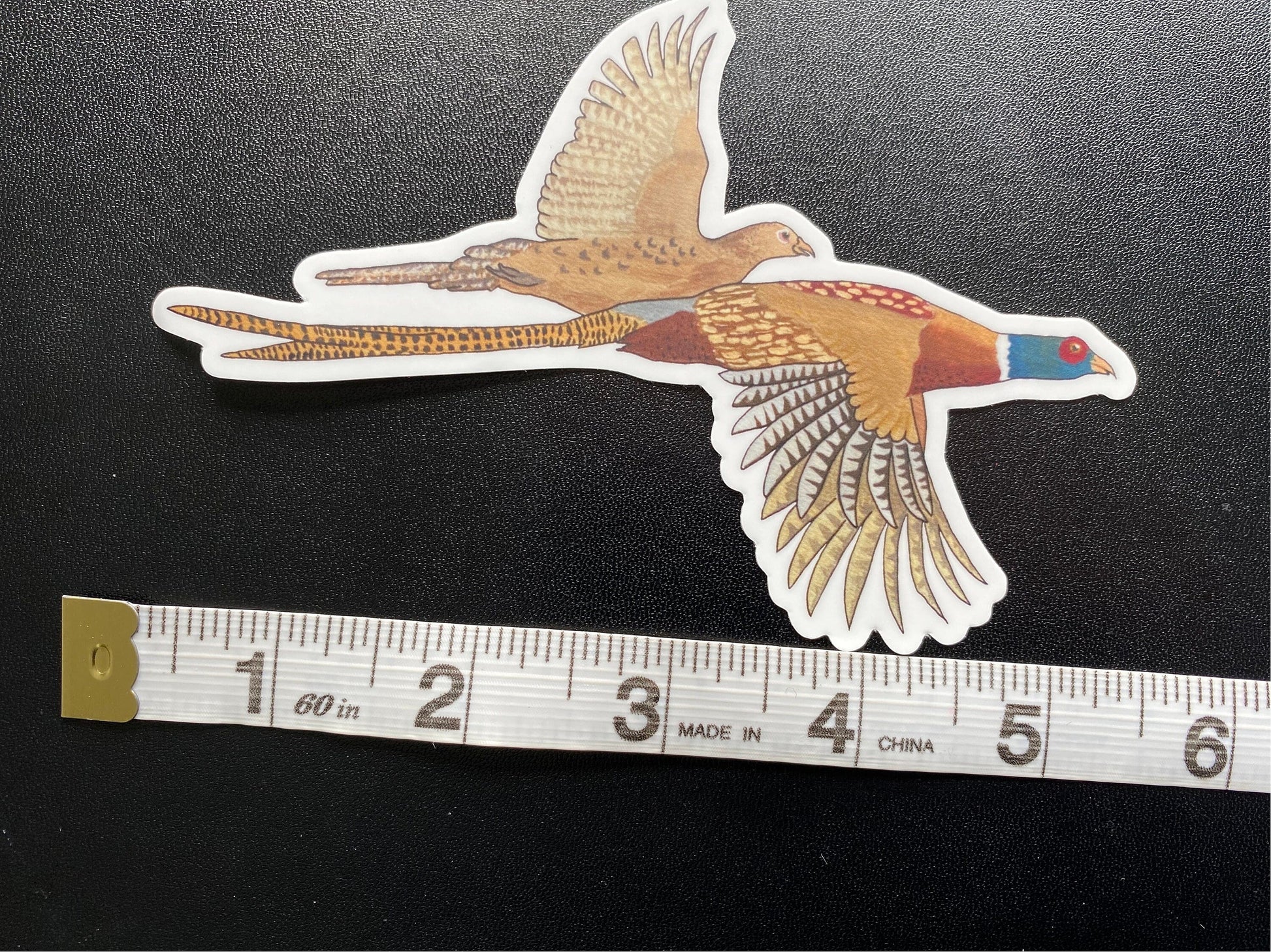 Ring Neck Pheasant Rooster and Hen 5" Die Cut Vinyl Sticker Decal: Durable Matte-Finish