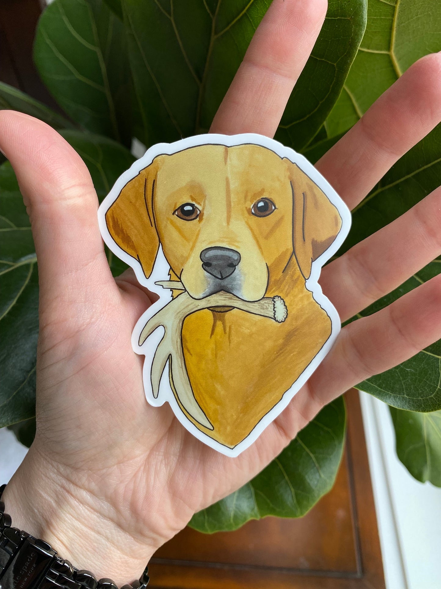 Red Yellow Labrador Retriever Antler Shed Hunting 3" Die Cut Vinyl Sticker Decal: Durable Matte-Finish