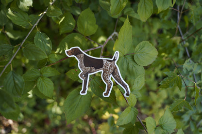 Liver Roan German Shorthaired Pointer Dog Pointing 5" Die Cut Vinyl Sticker Decal: Durable Matte-Finish Active