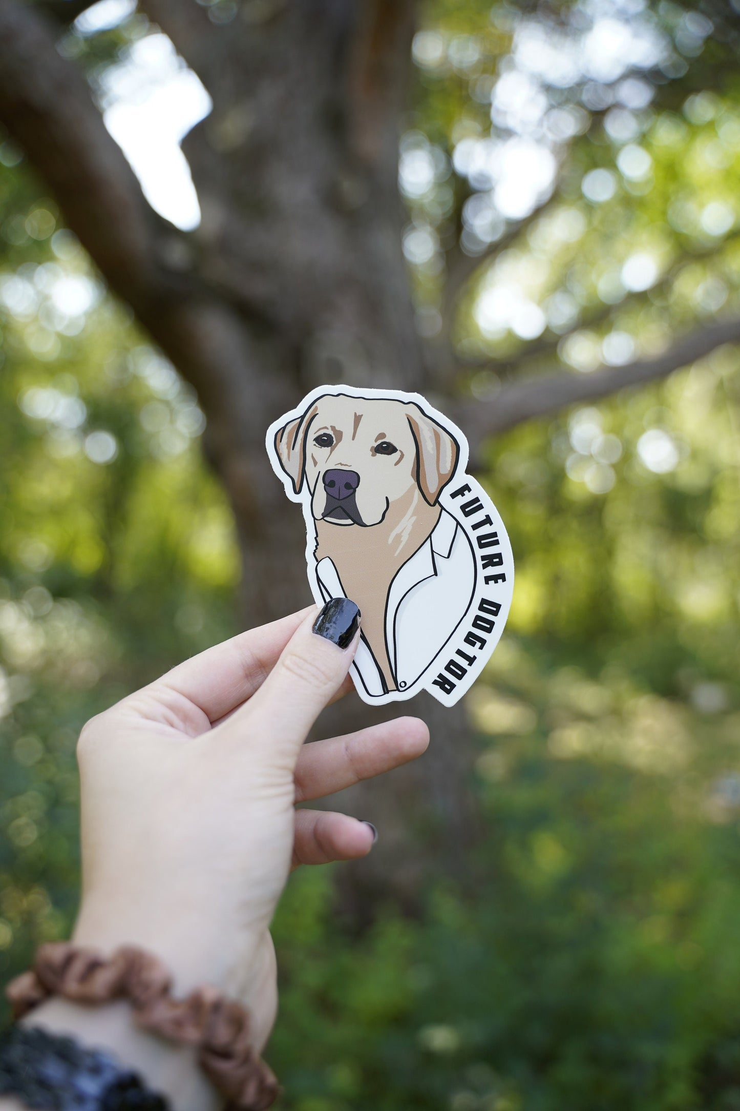Future Dogtor Vet Veterinarian Labrador Retriever 4" Die Cut Vinyl Sticker Decal: Durable Matte-Finish Active